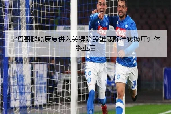 字母哥腿筋康复进入关键阶段雄鹿静待转换压迫体系重启